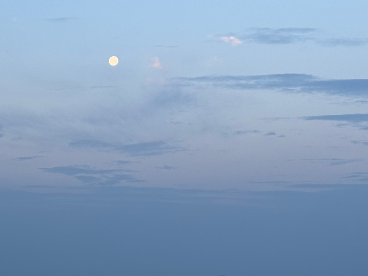 Travel Inspo #8: Sunrise Hike in&nbsp;Pushkar