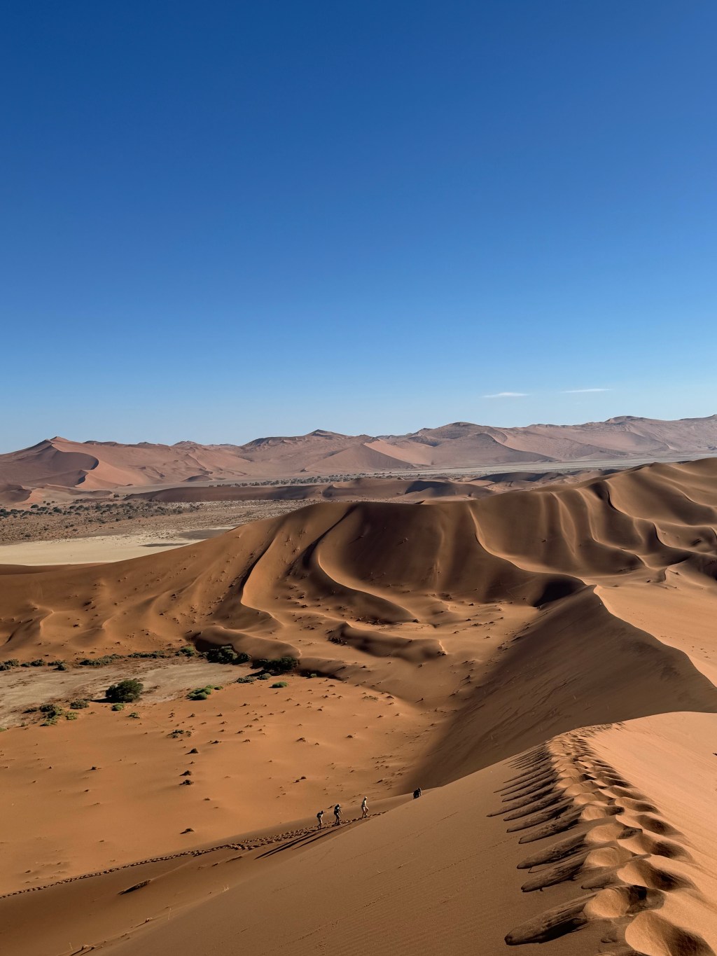 Travel Tip #11: What to bring to&nbsp;Namibia