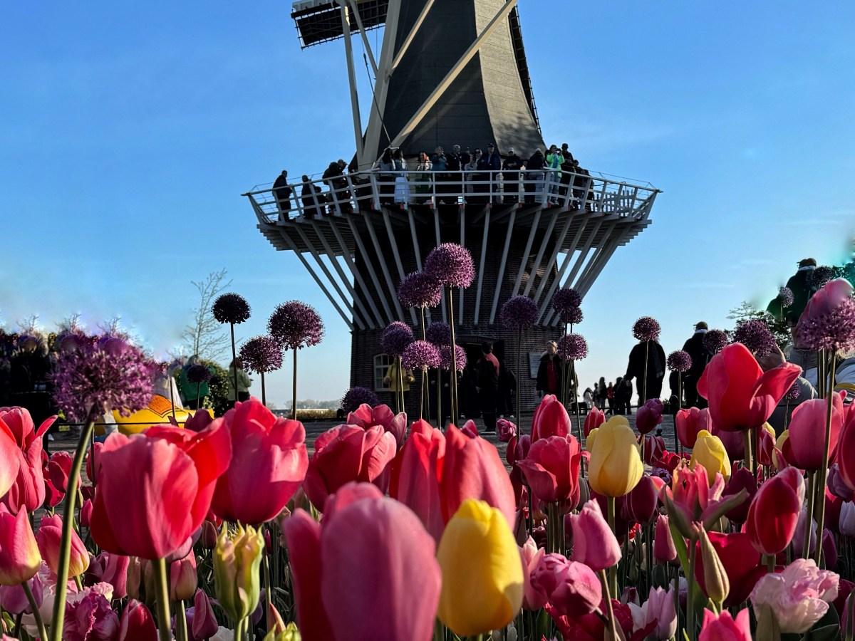 Travel Inspo #12: Visit Keukenhof in the&nbsp;Netherlands